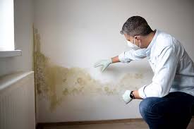 Best Commercial Mold Inspection  in Brownlee Park, MI